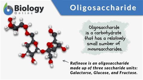 Oligosaccharide - Definition and Examples - Biology Online Dictionary