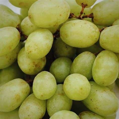 Green Grapes (large pack, 750g) · Essington Farm