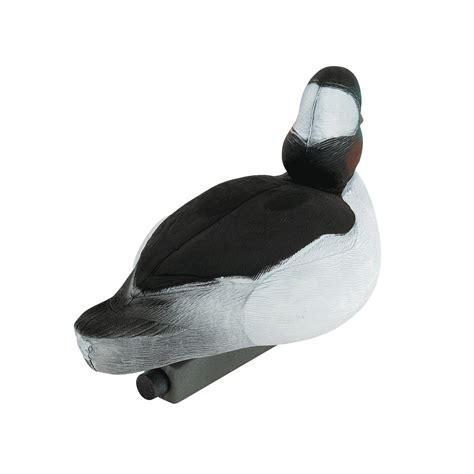 Migration Edition Bufflehead – Tanglefree Shop