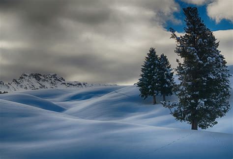 Time Lapse Photography of Three Trees Covered With Snow · Free Stock Photo