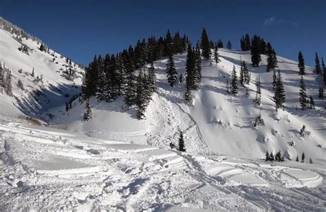 How Do Avalanches Affect The Environment? | ALLTRACKS