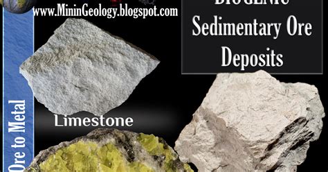 Biogenic Sedimentary Ore Deposits ~ Mining Geology