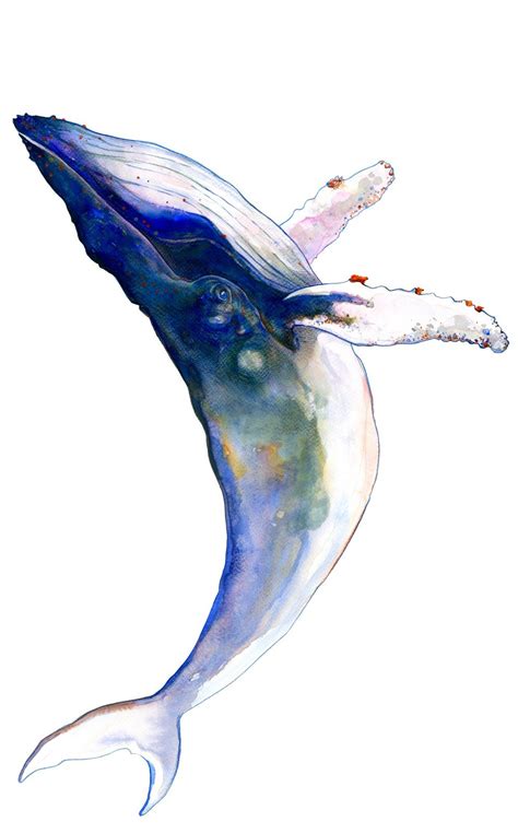 LAS BALLENAS QUE TRANSMITEN CULTURA | Whale art, Watercolor art ...