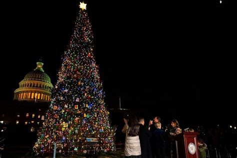 national tree lighting washington dc - Ellsworth Desimone