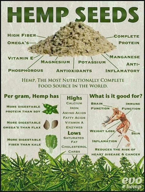 the benefits of hemp seeds! high protein seed, balanced ratio of omega ...