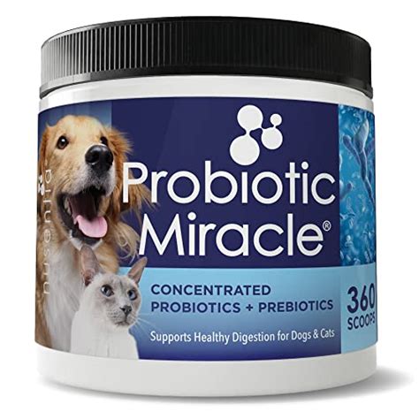 7 Best Dog Probiotic Supplements for Dogs' Gut Health