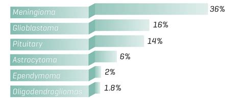 Brain Tumor Types