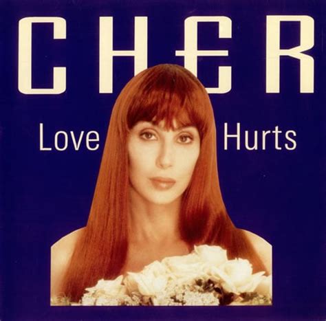 Cher – Love Hurts (1991 Version) Lyrics | Genius Lyrics