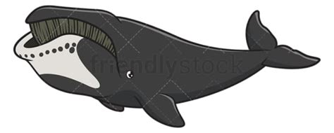 Bowhead Whale Cartoon Clipart Vector - FriendlyStock