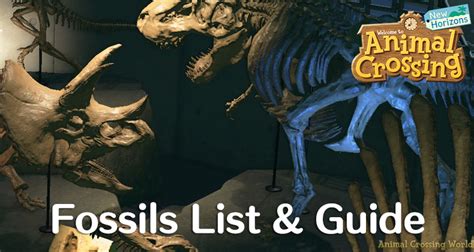 Complete List of All Fossils with Prices & How To Get Them in Animal ...