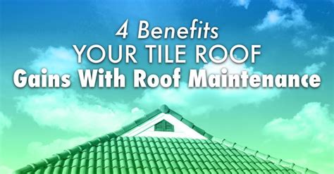 Roof Cleaning: 3 Reasons Why It Is Absolutely Necessary