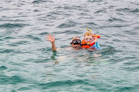 Los Cabos Snorkeling Tour by Speed Boat with Photos Included - Cabo San ...