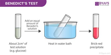 Reaction Test