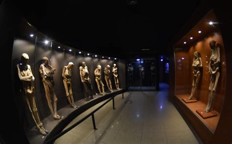 Museo de las Momias en Guanajuato: días y horarios para visitarlo ...