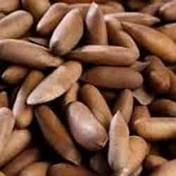 Chilgoza Nuts - Chilgoza Without Cover Wholesale Trader from Mumbai