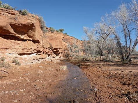 The Gulch, Grand Staircase-Escalante National Monument, Utah