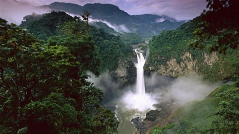 Rainforest Wallpapers - Top Free Rainforest Backgrounds - WallpaperAccess