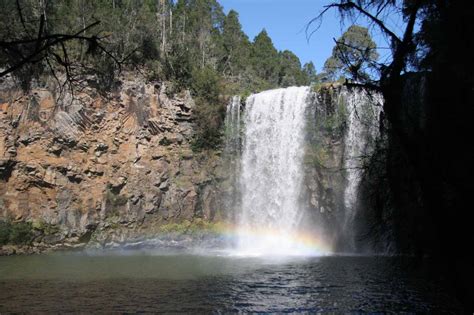 Dangar Falls (Dorrigo, New South Wales, Australia)