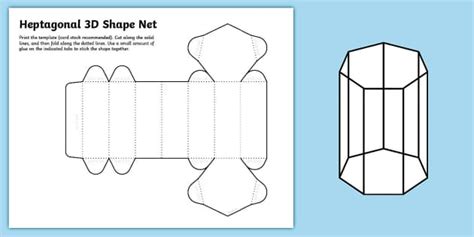 Heptagonal Prism Net 3D Shape | Math | Geometry | Twinkl USA