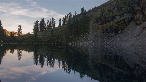 Wallpaper pond, trees, reflection, stones, nature hd, picture, image