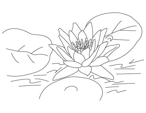 Free Printable Lotus Coloring Pages For Kids