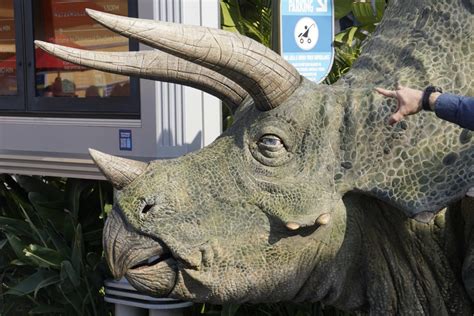 PHOTOS: Meet a Triceratops in Jurassic World at Universal Studios Hollywood - WDW News Today