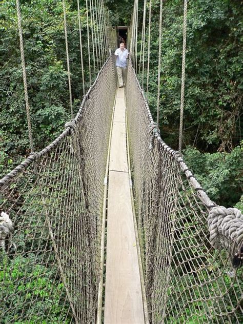 Kakum National Park - Wikitravel