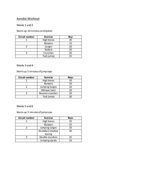 Anaerobic and aerobic workout program