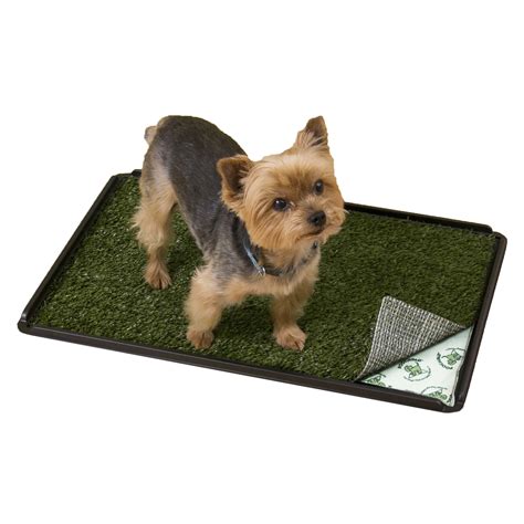 PoochPads Indoor Turf Dog Potty Plus, For dogs up to 20 lbs., 24" L X 16" W X 1" H | Petco