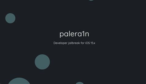 'Developer only' checkm8-based palera1n jailbreak for iOS 15.x adds ...