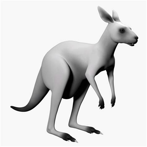 Roo Kangaroo 3D - TurboSquid 1649156