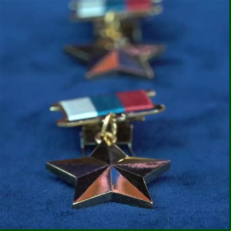 RU POV: Russian Defense Minister Sergei Shoigu awards Russian soldiers ...