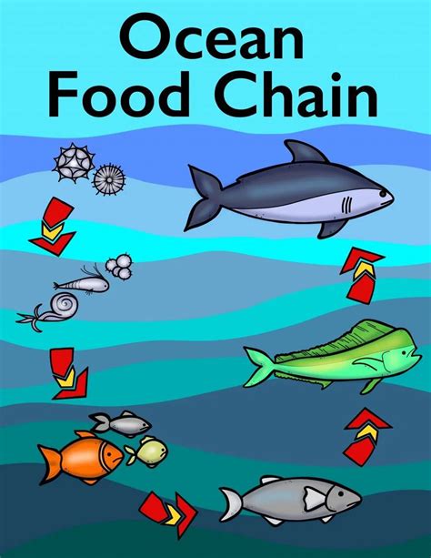 Ocean food chain colouring book – Artofit