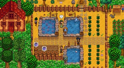 Stardew Valley Version 1.6 Update Content Teased – NintendoSoup