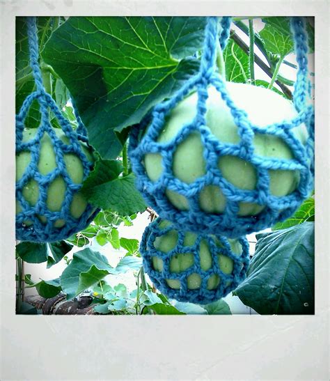 Celena Beech Photography: Walled Garden at Attingham Park