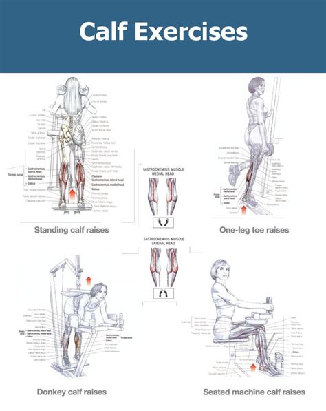 The Best Calf Workout for Mass – Growing the Most Stubborn Muscle - Fitprince