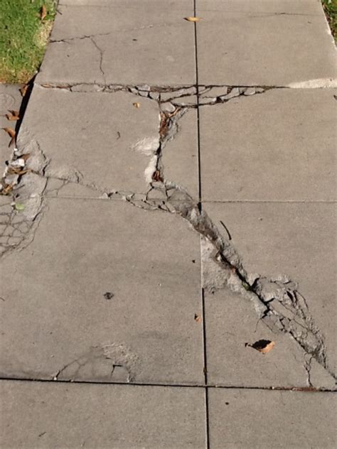 Broken, Lifted and Cracked sidewalks are a hazard. | L.A. Sidewalks