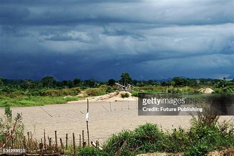 112 Martapura South Kalimantan Stock Photos, High-Res Pictures, and Images - Getty Images