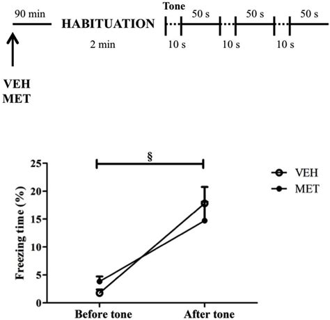 Acute metyrapone treatment did not impair animal’s ability to express... | Download Scientific ...