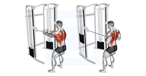 Cable Standing Row - Guide, Benefits, and Form