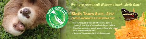 Sloth Sanctuary of Costa Rica — Since 1992, the first advocate for sloths in Costa Rica