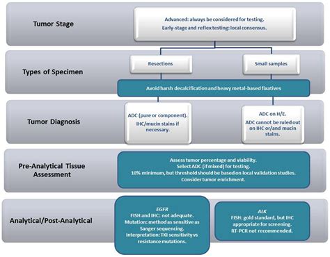 Frontiers | Non-Small Cell Lung Carcinoma Biomarker Testing: The Pathologist’s Perspective