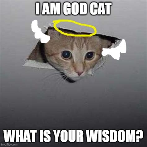 Ceiling Cat Meme Generator | Homeminimalisite.com