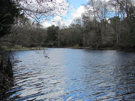 Blue Roads to Hiking Trails: Withlacoochee River Park Hike