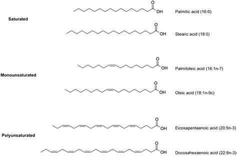 Examples of saturated, monounsaturated, and polyunsaturated fatty acids... | Download Scientific ...