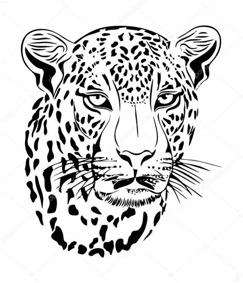 Jaguar Vector Art — Stock Vector © View360adv #67428455