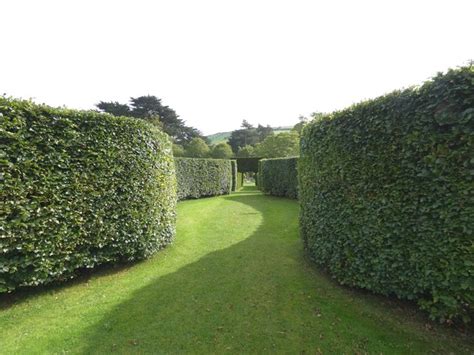 Glenarm Castle Walled Garden © Gerald England cc-by-sa/2.0 :: Geograph ...