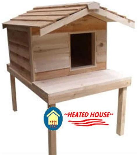 9 Best Heated Cat Houses To Keep Your Feline Warm (Indoor and Outdoor ...