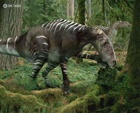 Iguanodon | Sauropedia Wiki | FANDOM powered by Wikia