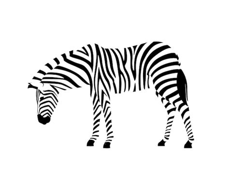 Premium Vector | African zebra side view outline striped silhouette animal design flat vector ...